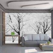 Foto tapeta - Trees - winter landscape 350x270