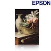 Epson Production Canvas Matte - 1118 mm x 12,2 metrov