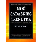 Moc sadašnjeg trenutka - Tok Ekart