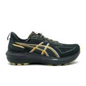 Asics GT-1000 14 GTX