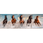 Clementoni Horses, 1000 kom, Životinje, 10 godin(a)