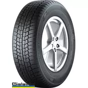 GISLAVED zimska pnevmatika 225/45R17 91H Euro*Frost 6 DOT3421