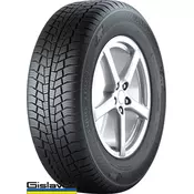 GISLAVED Euro*Frost 6 225/45R17 91H DOT2920