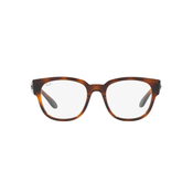 Ray-Ban Naocare RX 7210 2012