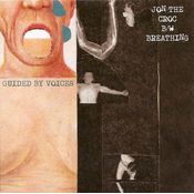 GUIDED BY VOICES - JON THE CROC