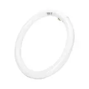 Fluorescentna cev T9 G10q/32W/230V 6500K - Aigostar