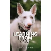 Learning from Albi