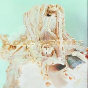 Pale Saints - In Ribbons (30th Anniversary Re:Masters) (Reissue) (LP)