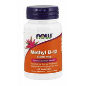 NOW Foods Metil B12 s folno kislino (vitamin + folna kislina v aktivnih oblikah), 5000 mcg, 60 pastil