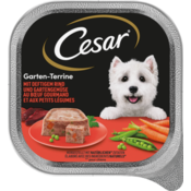 Cesar Vrtna terina z krepko govedino