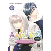 Ameiro Paradox 07