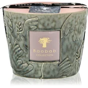 Baobab Collection Paz Colombe dišeča sveča 500 g