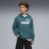PUMA ESS No. 1 Logo Fleece Hoodie Youth, Clothing, Emerald Ice, 15-16Y