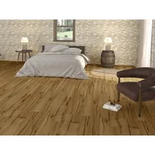 OLIVO MIEL 30x120