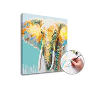 Slikanje po številkah AFRIŠKI SLON | nizka težavnost - 50x50 cm - raztegnjeno platno na okvirju