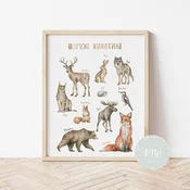 Its a moms world Edukativni poster za decu bez rama Šumske životinje A3, 3D