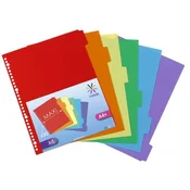 Pregrada, plastika, A4 Maxi, 6 x zavihki, VIQUEL