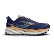 Brooks Cascadia 19