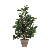 Umetno cvetje Fikus zeleni, 60cm