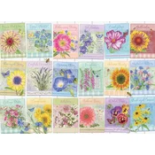 Cobble Hill Puzzle Paketi s semeni 500 kosov