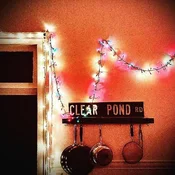 Kristin Hersh - Clear Pond Road (Limited Edition) (Coloured) (LP)