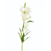 Cvet LILLY 1183181/2 - White - EDL