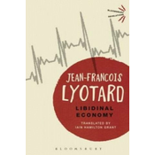 Libidinal Economy