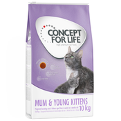 Snižena cijena! 10 kg / 9 kg Concept for Life - Mum & Young Kittens - poboljšana receptura! (10 kg)