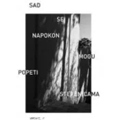 SAD SE NAPOKON MOGU POPETI STEPENICAMA