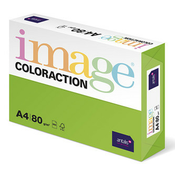Kserografski papir Coloraction, Java, A4, 80 g/m2, srednje zelen, 500 listov, primeren za brizgalni tisk