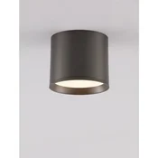 STROPNI REFLEKTOR ZIAZA SREBRNA LED 10W 505lm 3000K IP20 NL9695167