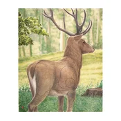 JVD Target Face Animal Large Deer