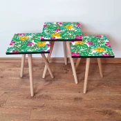 Hanah Home Set klub stočića 3Shp349, 3 komada, Šarena