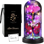 Nikcorp LED okrasna roža v stekleni kupoli FAYODO Pink, roza umetna dekoracija, osvetljena z LED, lesena osnova iz borovega lesa, 21,3 x 11,2 cm, črna darilna škatla