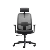 Ergovision Ergonomski pisarniški stol ERGO BASIC | Barva: Črna