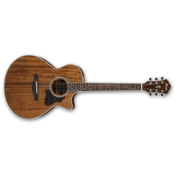 IBANEZ AE245-NT elektro-akustična kitara