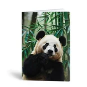 Blok A6 ABC-123 - panda, 40 listov