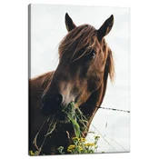 shumee Slika na platnu Živali Konjska glava 40x60 cm Konjski hlev