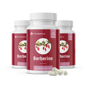 Berberin 500 mg, 90 kapsul