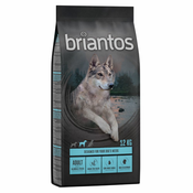 Briantos Adult losos in krompir – BREZ ŽIT - 1 kg
