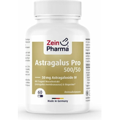 ZeinPharma Astragalus Pro 500/50