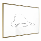 Poster - Resting Polar Bear 30x20