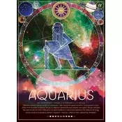 Cobble Hill Puzzle Zodiac sign: Aquarius 500 kosov