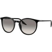 Ray-Ban RB2204 901/32