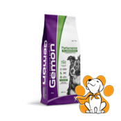 Gemon Performance Adult Dog, Chicken And Rice 20kg, Granule Za Odrasle Pse