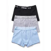 ÖTS Spodnjice ÖTS Herren Boxerbriefs mešane barve
