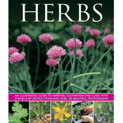Herbs