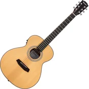 Pasadena PT-200E Natural Ostale elektroakustične (Kot novo)