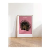 WallXpert uramljena slika 115214, The Black Peacock Ohare Kosona, crni paun, ružicasta pozadina, 30 x 40 cm, ram u boji prirodnog drveta
