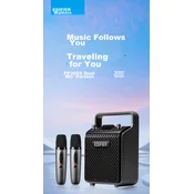 Edifier Bežicni karaoke zvucnik sa 2 mikrofona PK205S, Bluetooth, Sivi